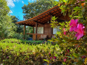 Casa ampla e arborizada com excelente localização